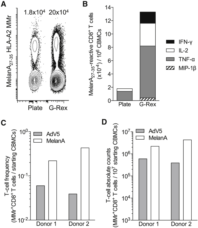 Figure 5