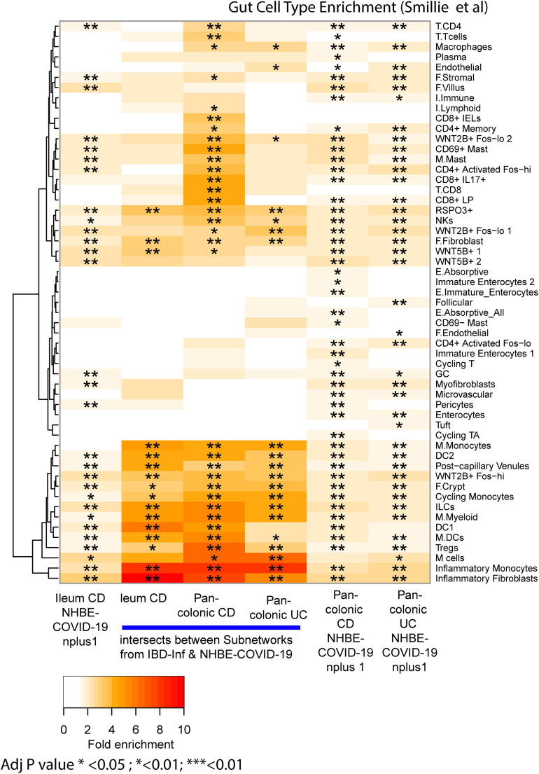 Supplementary Figure 12