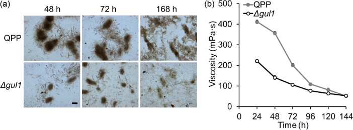 Fig. 4.