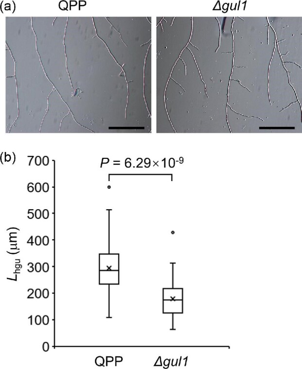 Fig. 2.