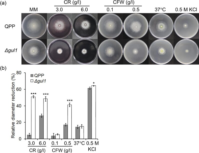 Fig. 7.