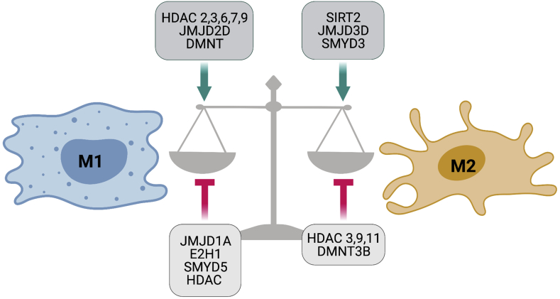 Figure 4