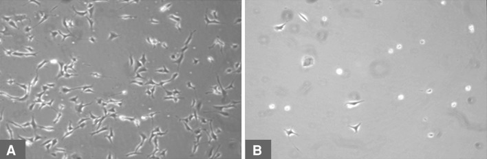 Fig. 4A–B