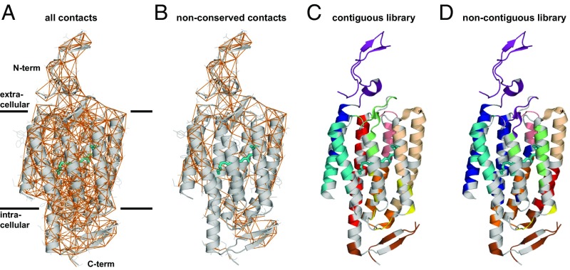 Fig. 2.