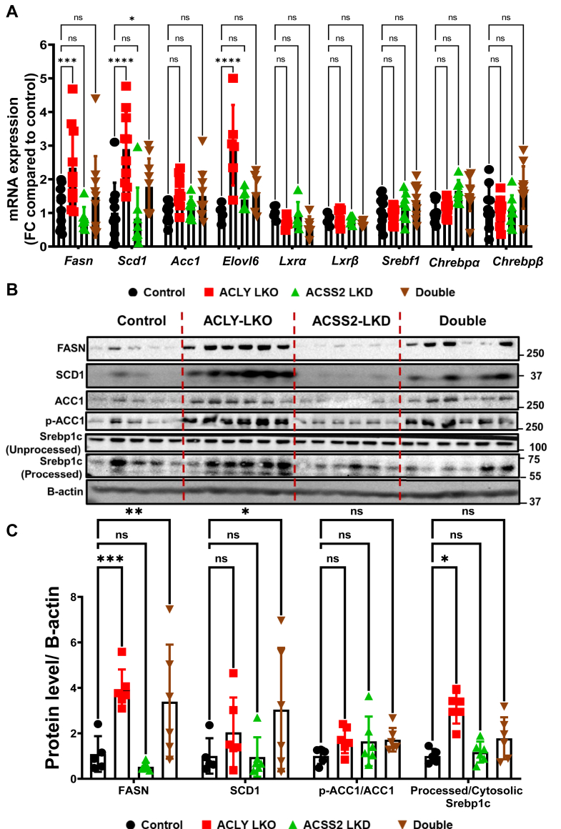 Figure 4