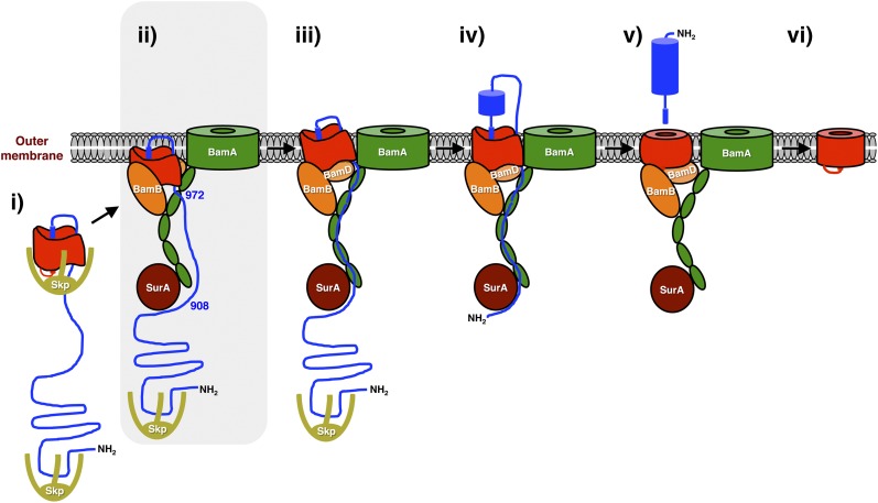 Fig. 8.