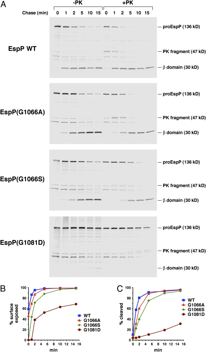 Fig. 3.