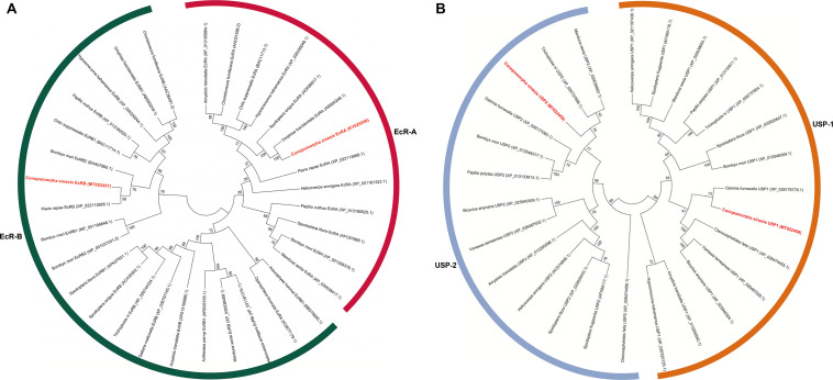 FIGURE 3