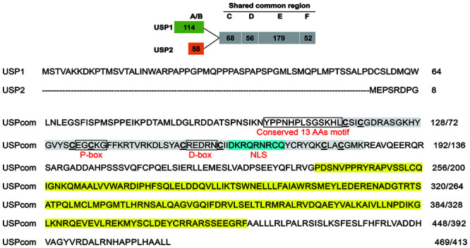 FIGURE 2