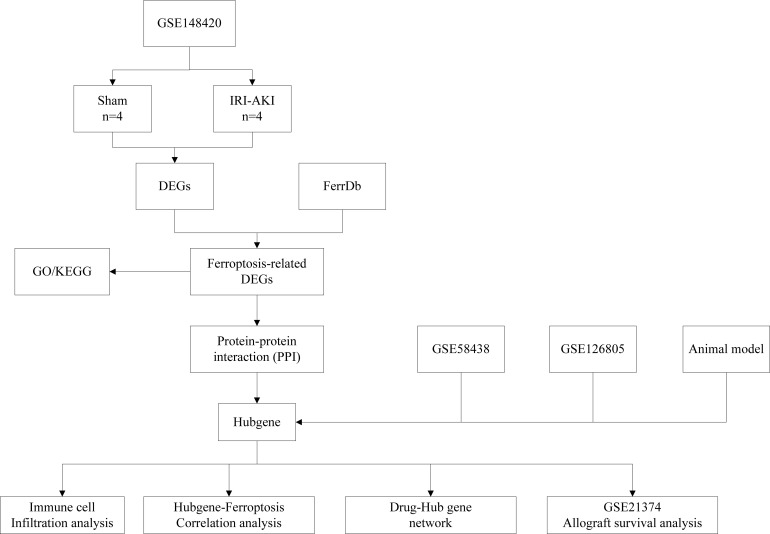 Figure 1