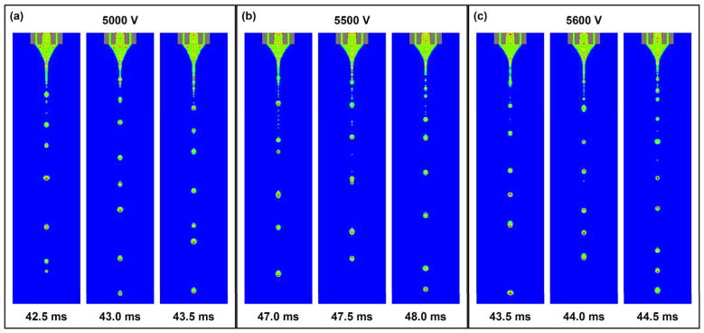 Fig. 12