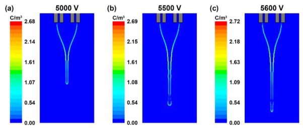 Fig. 10