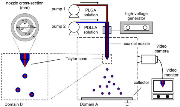 Fig. 1