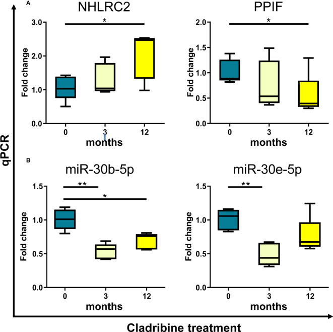 Figure 5