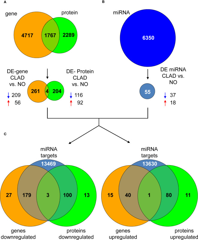 Figure 3