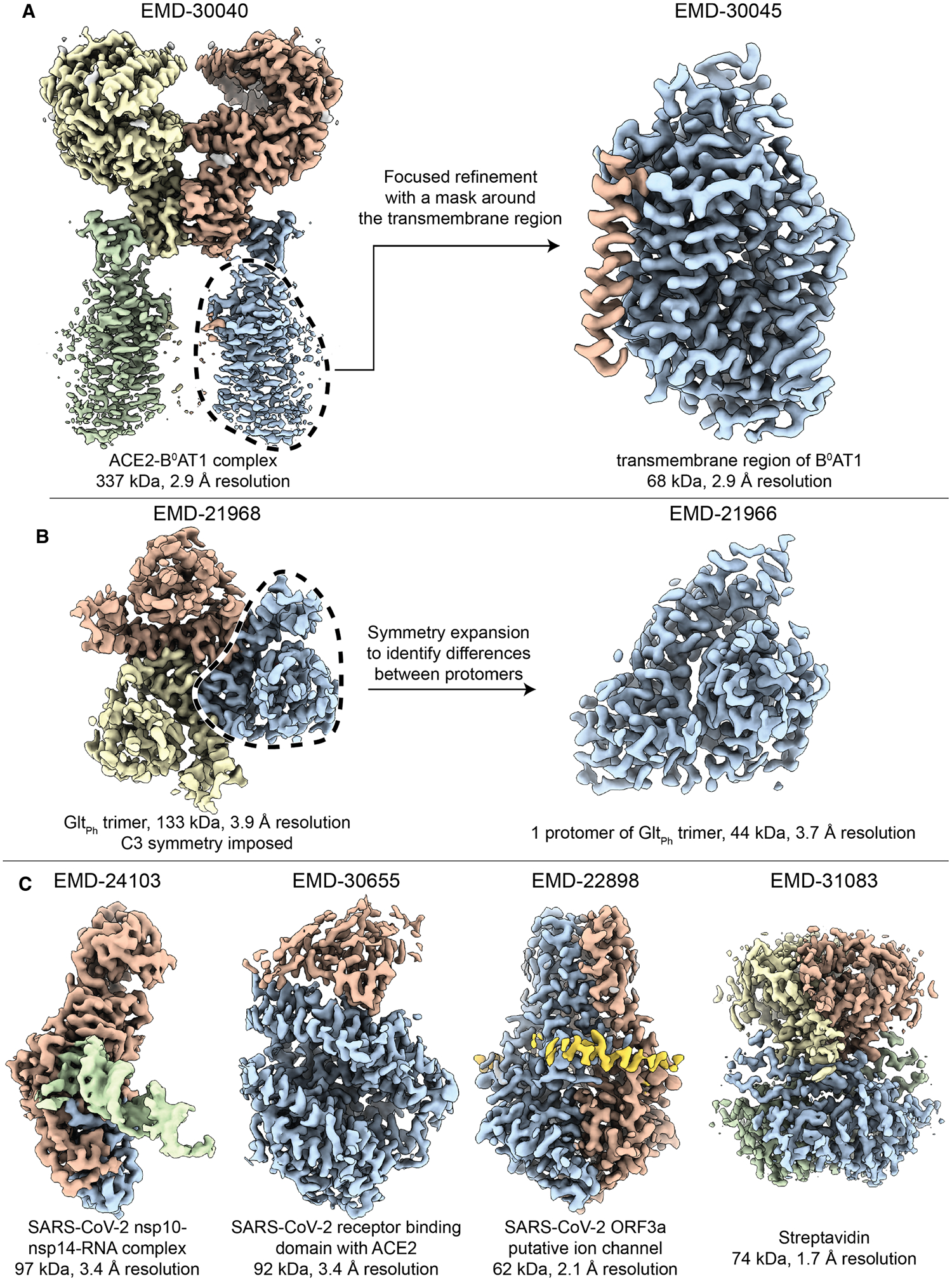 Figure 1.