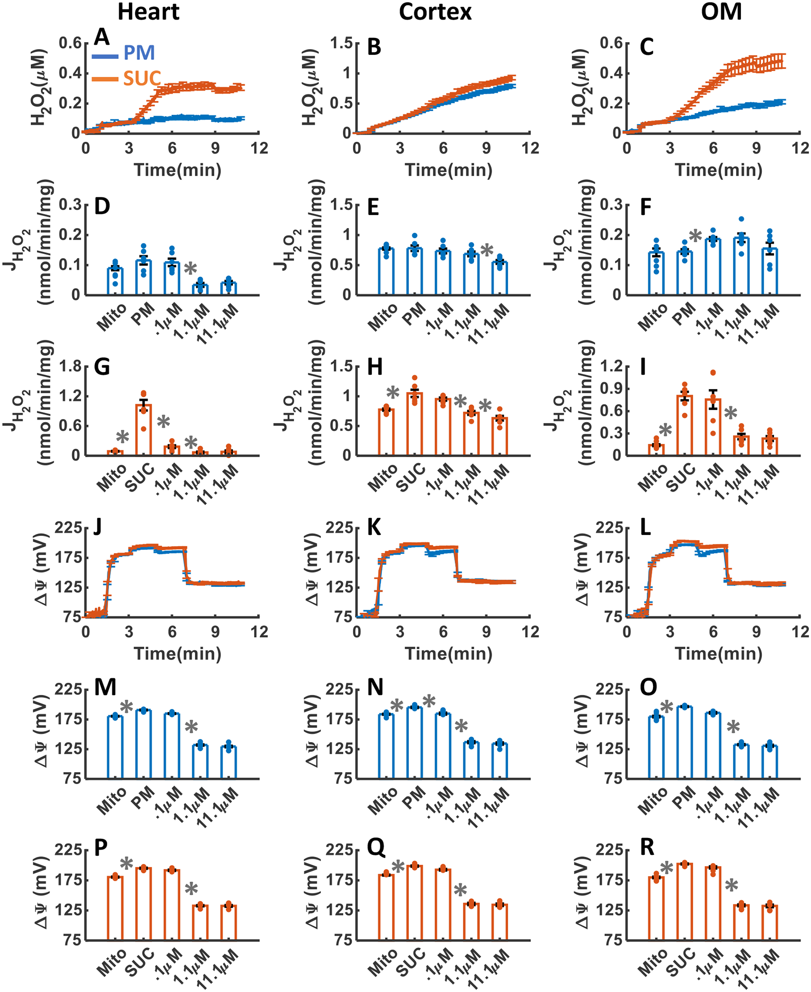 Figure 11.