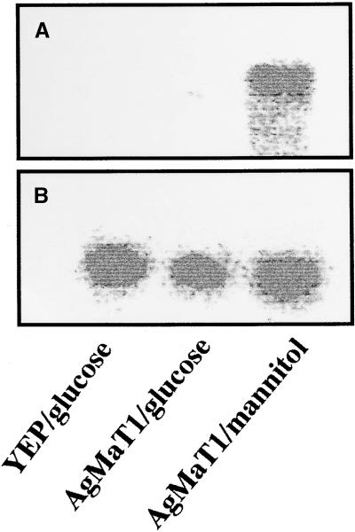 Figure 6.