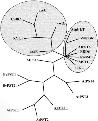 Figure 9.