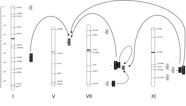 Figure 8