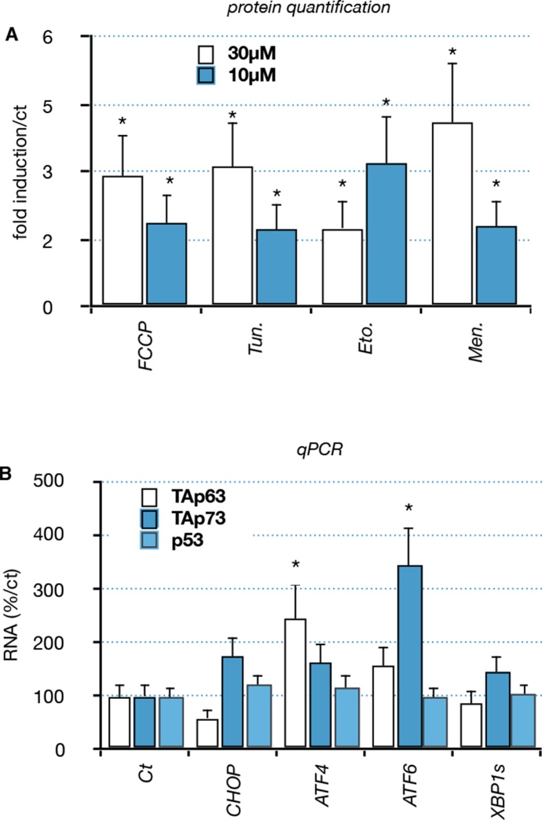 Figure 5—figure supplement 2.