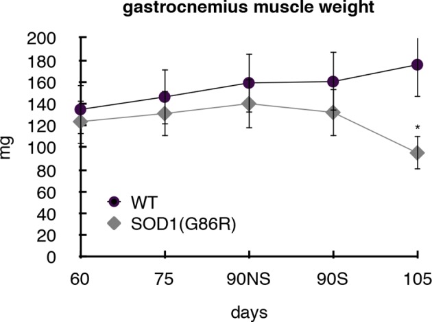 Figure 2—figure supplement 1.