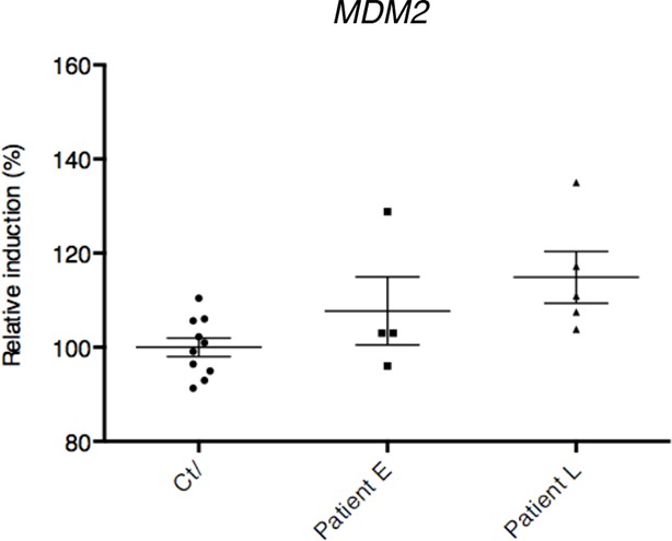 Figure 1—figure supplement 2.