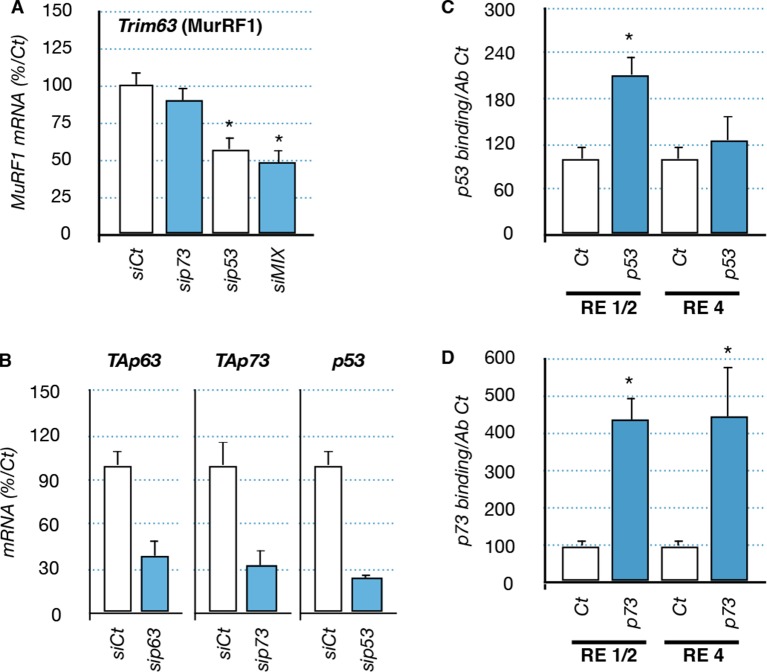 Figure 7—figure supplement 1.