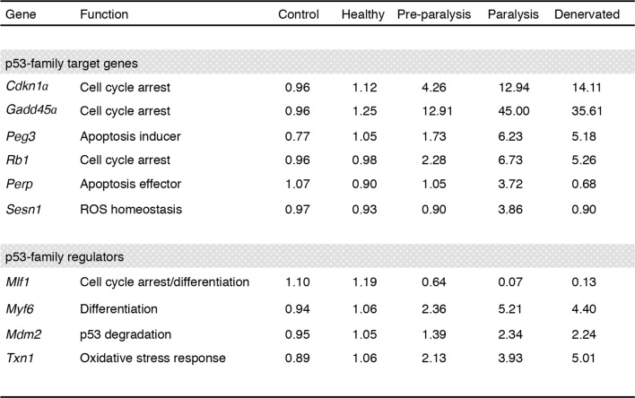 Figure 1—figure supplement 1.