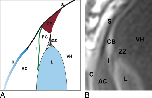 Fig 10.