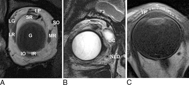 Fig 7.