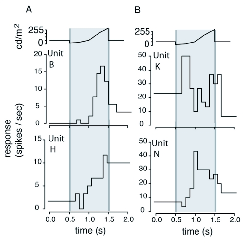 Figure 9. 