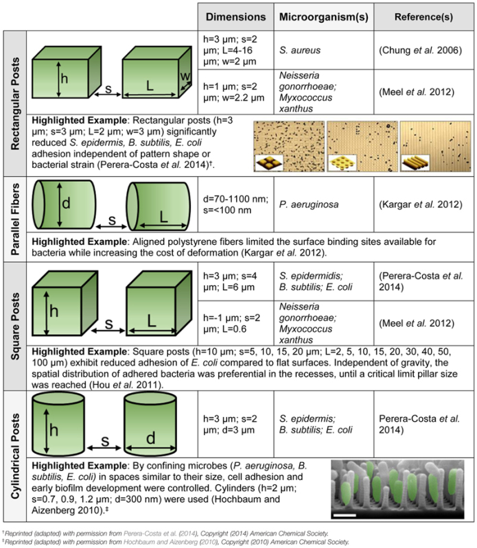 graphic file with name fmicb-06-00196-t001.jpg