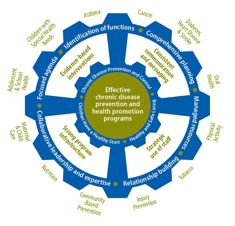 This conceptual model from the Maine State Department of Health sets “Effective chronic disease prevention and health promotion programs” at the core of the model, and adds 3 foci: Chronic Disease Prevention and Control; Children Have a Healthy Start; and Healthy and Safe Living. At the outer rim of the circle are the names of categorical programs: Adolescent and School Health; Children With Special Health Needs; Asthma; Cancer; Diabetes, Heart Disease, and Stroke; Oral Health; Physical Activity; Tobacco; Injury Prevention; Community-Based Prevention; Nutrition; and Maternal and Child Care.