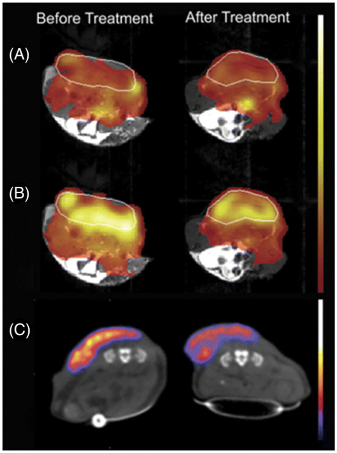 FIGURE 12