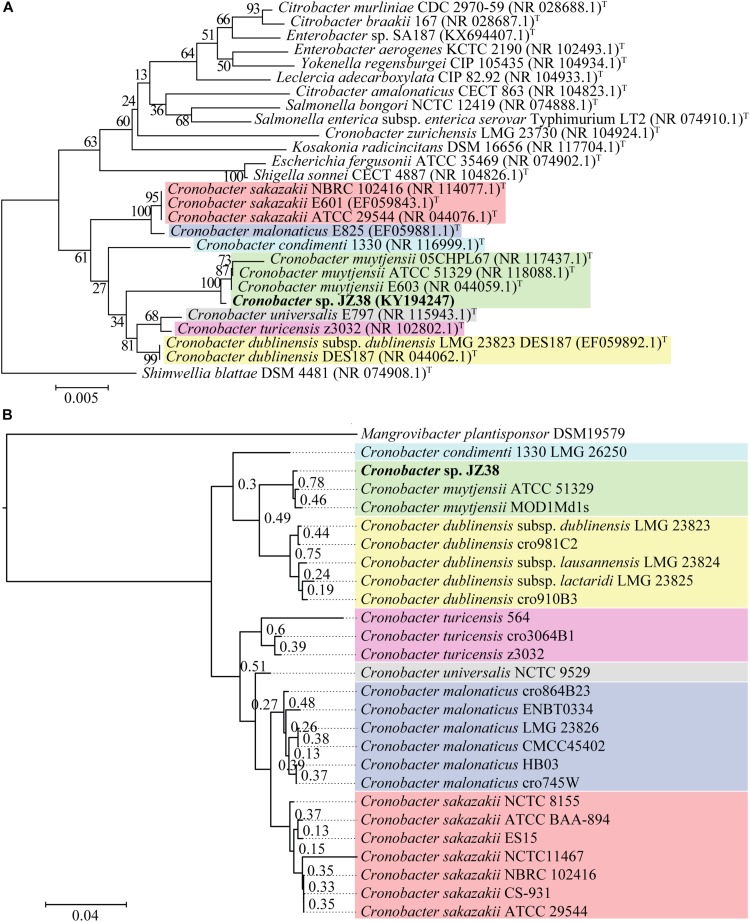 FIGURE 3