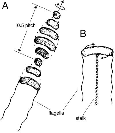 FIG. 4.