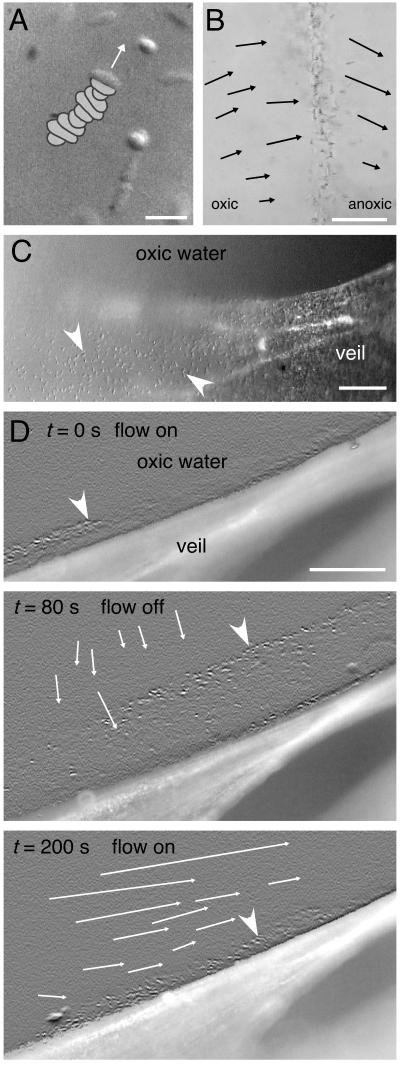  FIG.5.