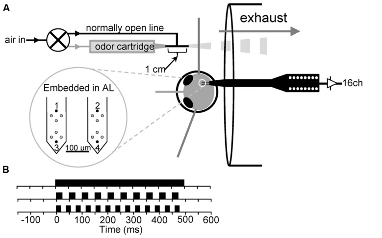 FIGURE 1