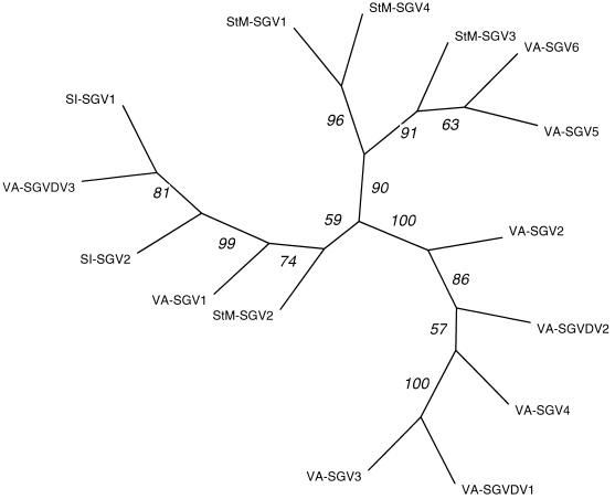 FIG. 4