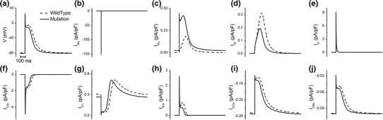 Fig. 3