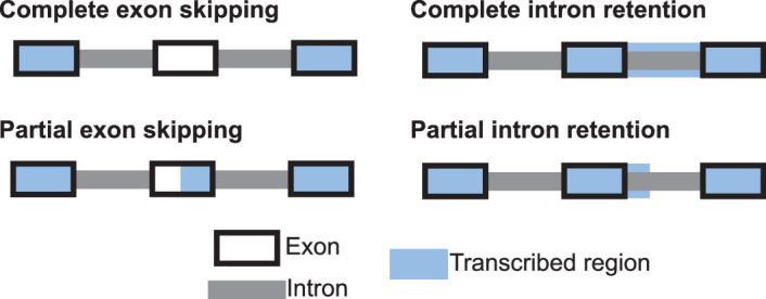 Extended Data Fig. 4