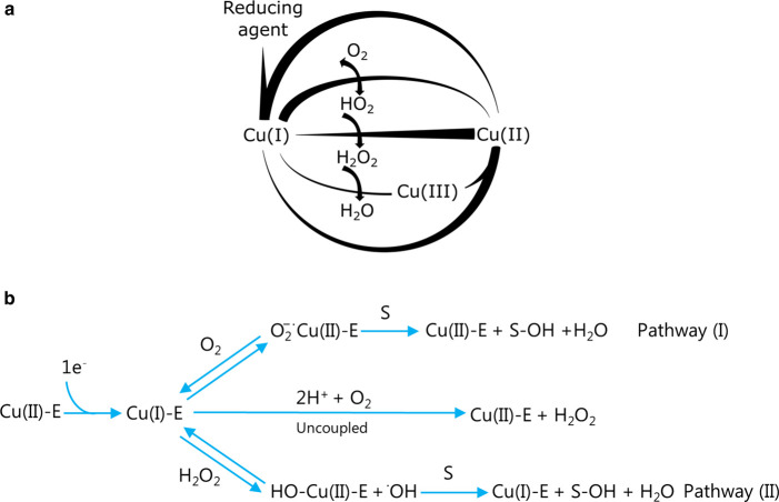 Figure 2.