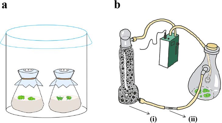 Fig 9