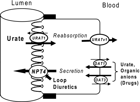 FIGURE 7.