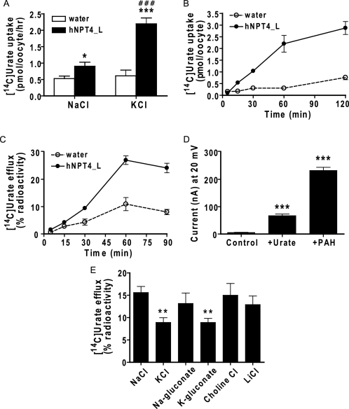 FIGURE 9.