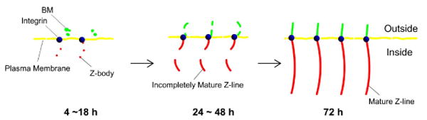 Schematic 1