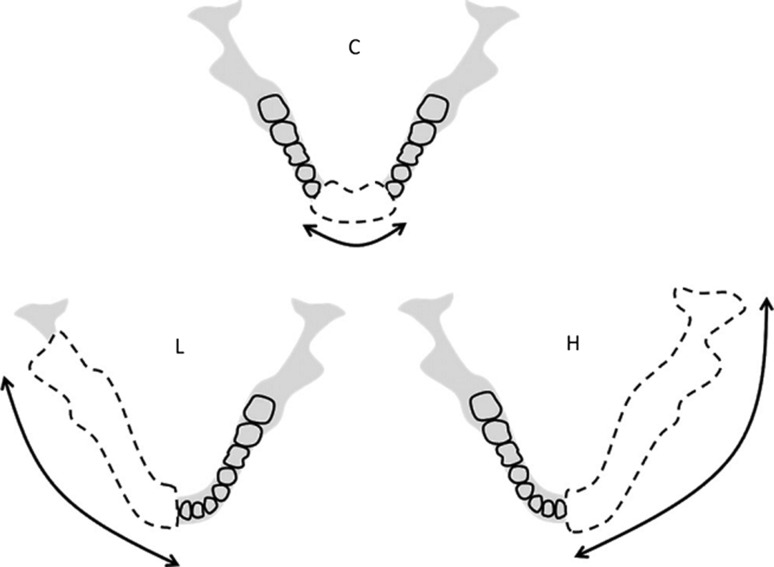 Fig. 1