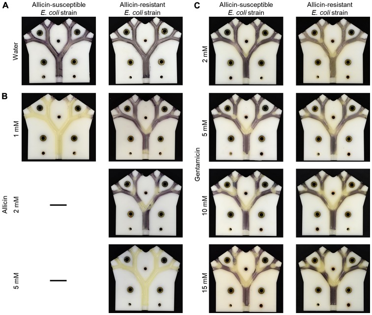 Figure 10.