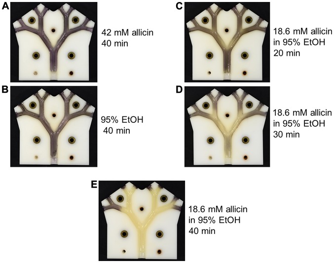 Figure 11.